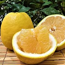 愛媛県産　宇和ゴールド　河内晩柑　柑橘　15kg 愛媛県産 宇和ゴールド 河内晩柑 柑橘 15kgの通販 by sari's